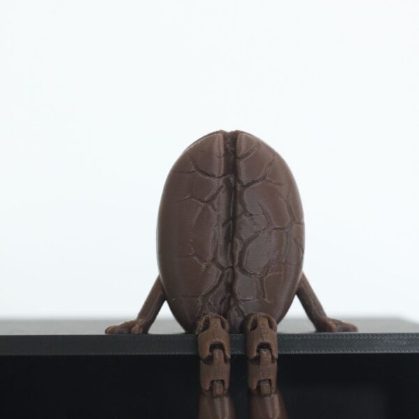 Textered coffee bean